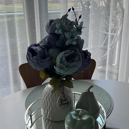 Blue Peony Apartment ดรูซกินินไก ภายนอก รูปภาพ